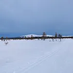 Saremoekki * Kittilä