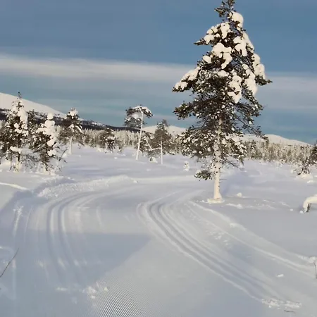 בקתה Saremoekki *